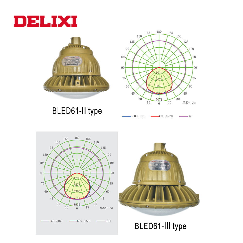 DELIXI BLED61-II explosion proof light High Power 80W 100W AC 220V ip66 WF1 Warehouse chandelier waterproof explosion proof lamp