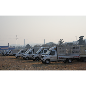 Modified Mini Cargo Trucks