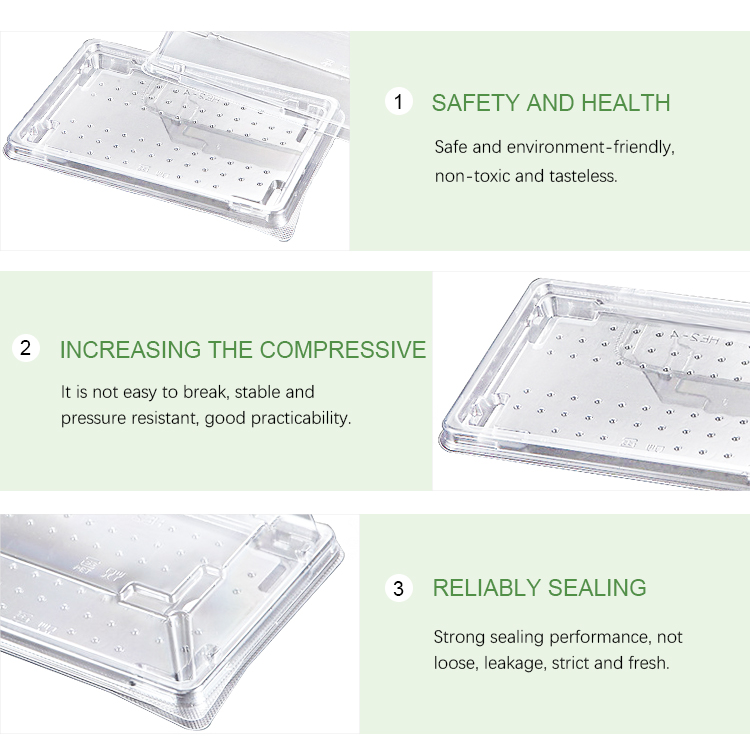 Rectangle plastic sushi plate