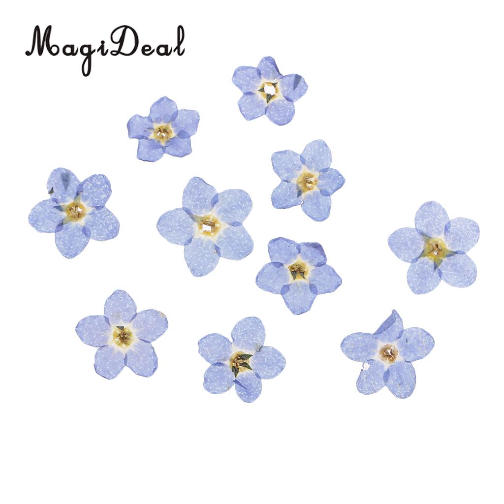 20pcs Artificial Forget-me-not Flowers Simulation Pressed Dried Flowers Embellishments for Art DIY Craft Jewelry Card Making