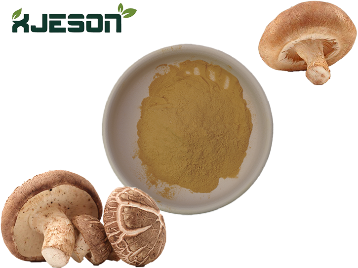 Shiitake Mushroom Extract