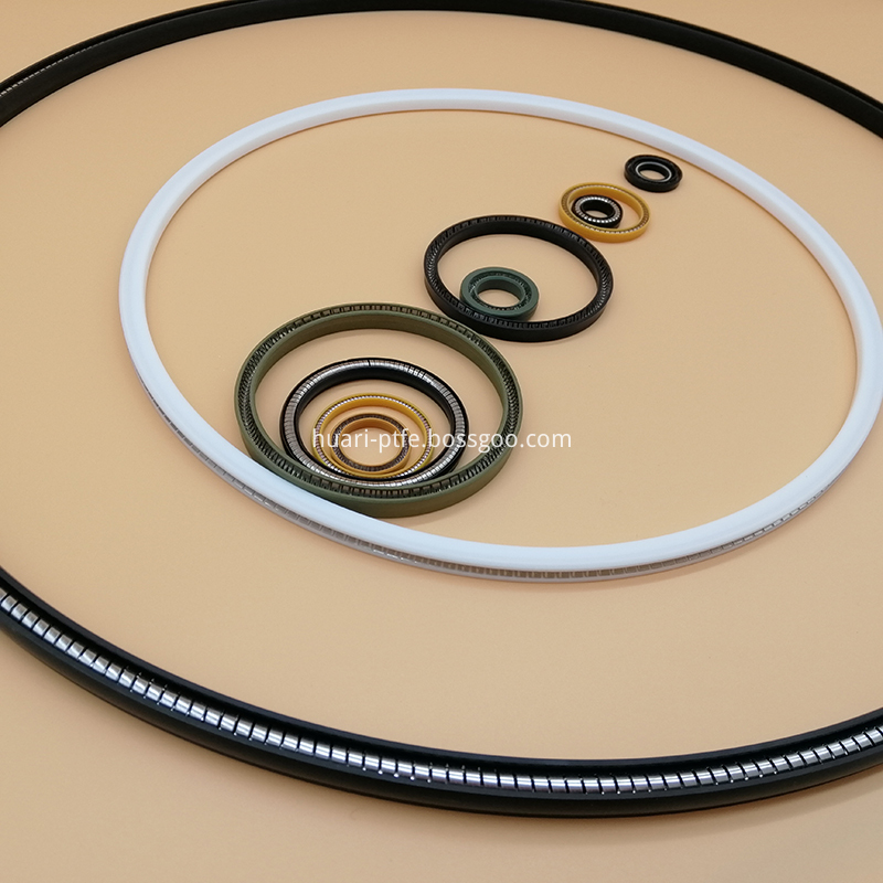 Spring Energized Seal 17