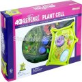 4 D Master plant cell anatomical Skeleton Model for sale dimensional toy anatomical model Medical Science education equipment