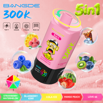 Bang DE 300k puffs 5in1 Disposable vape