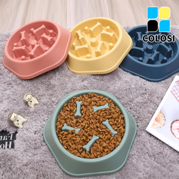 At home Pet a feeding bowl