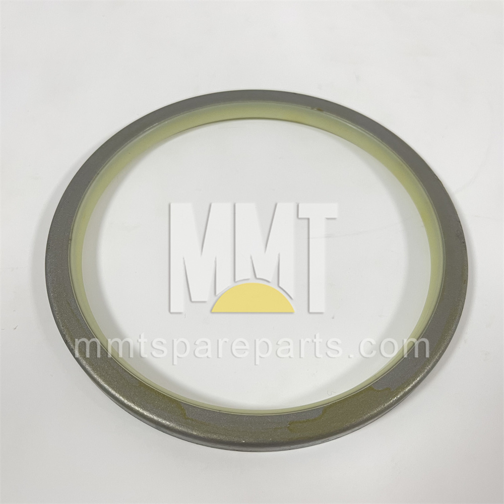Steel Faced Rubber Dust Lip Type Sea 9x-4599