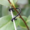 50 pcs Durable Grade Plastic Grafting Clips Grape & Kiwi Fastener Flower Vines Vegetable Bushes Plant Tendril Clip