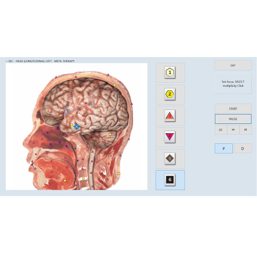 bioresonance aura analyzer diagnostic machine for Sale, bioresonance aura analyzer diagnostic machine wholesale From China