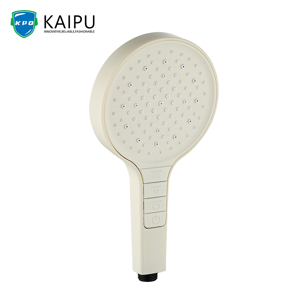 Hand Held Shower (11)