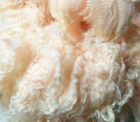 66s Flesh pink 10/20g Merino Wool Fiber Roving For Needle Felting Hand Spinning DIY Fun Doll Needlework Raw Wool Felt poke