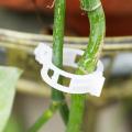 50/100pcs trellis Garden Vegetables Tomato Vine Stalks Grow Upright Support Plant Clips Hot For Garter Plants Agriculture Tools