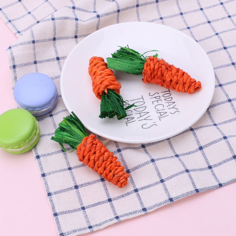 3Pcs Carrot Shaped Rabbit Hamster Chew Bite Toys Guinea Pig Tooth Cleaning Toys
