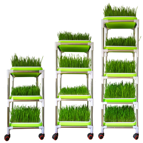 Green Seedling Frame With Seedling Trays To Plant Manufacturers and Green Seedling Frame With Seedling Trays To Plant Suppliers