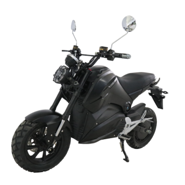 low seat road pantera high capacity electric motorcycle