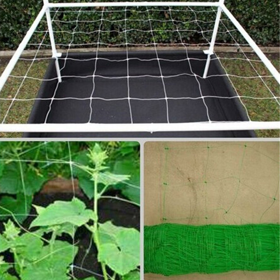 Uasge Of Plant Support Net Uasge Of Plant Support Net