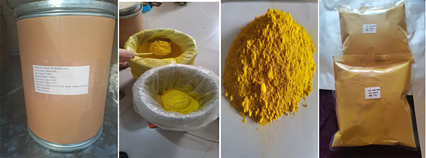 pacakge coptis extract