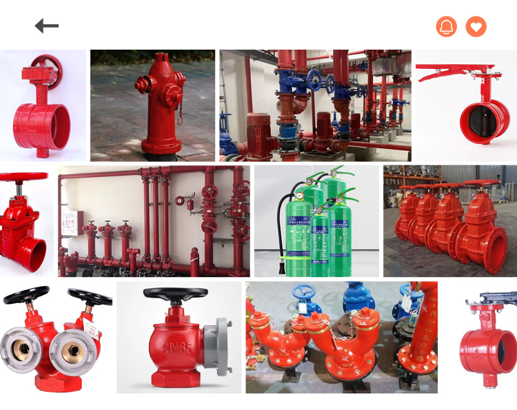 Water Based Fire Extinguisher