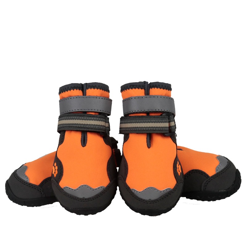 Dog Shoes Amazon