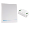 Portable Wireless Switch Light RF Remote Control AC 110V 220V Receiver Smart Switch Wall Panel 86 Type 433Mhz Smart Life