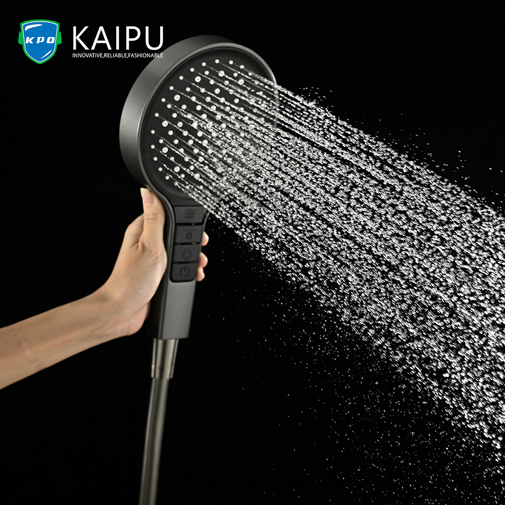 HANDHELD SHOWER (2)
