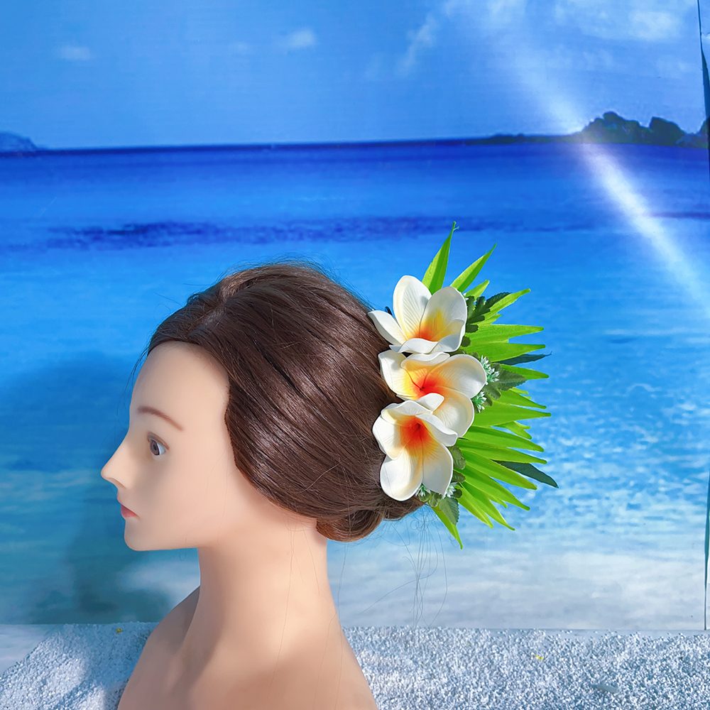 Kn Hc004 66 Hair Clip