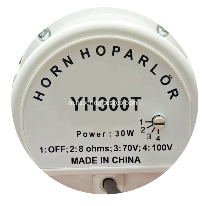 Horn Speaker