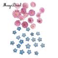 MagiDeal 20Pcs Pressed Dried Flower Dry Leaves For DIY Crafts Bookmark Cards Making