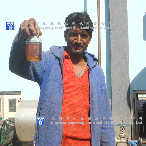 cottonseeds oil cottonseeds oil