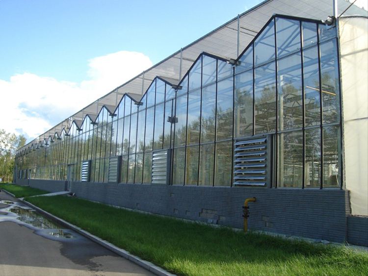 Multi-span Glass Greenhouse