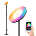 RGBCW Color Changing Floor Lamp