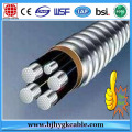 600 Volt Aluminum Alloy conductor XLPE insulated Cable