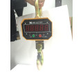 3T/3000kg OCS digital lifting scale red or green display aluminum shell wireless remote control Industrial weighing crane Scale
