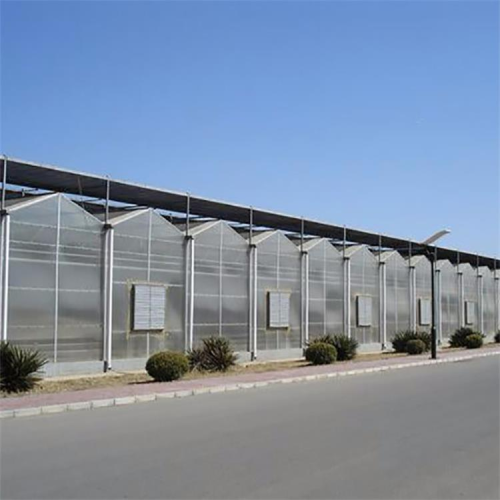 Agricultural Poly Multi-Span Arch PC Greenhouse Manufacturers and Agricultural Poly Multi-Span Arch PC Greenhouse Suppliers