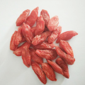 Ningxia Conventional Lycium Barbarum Goji Berry Dried