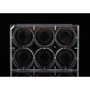 6 Well Glass Bottom Cell Culture Plates