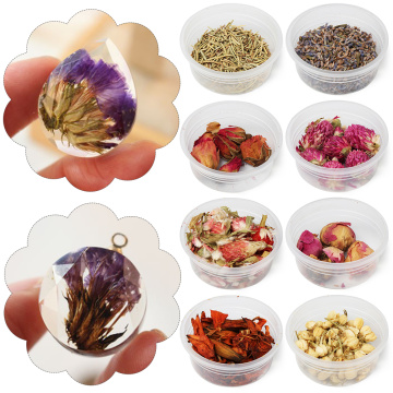 Dried Natural Flowers Jasmine Buds Dried Flower Filling DIY Crystal Epoxy Dried Flowers Mobile Phone Sase DIY Jewelry Making
