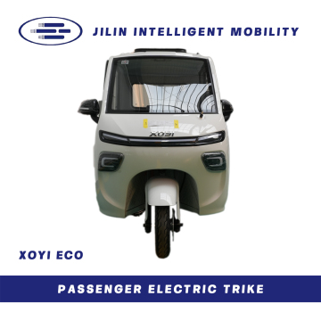 Enclosed Electric Tricycle-P3(White front)