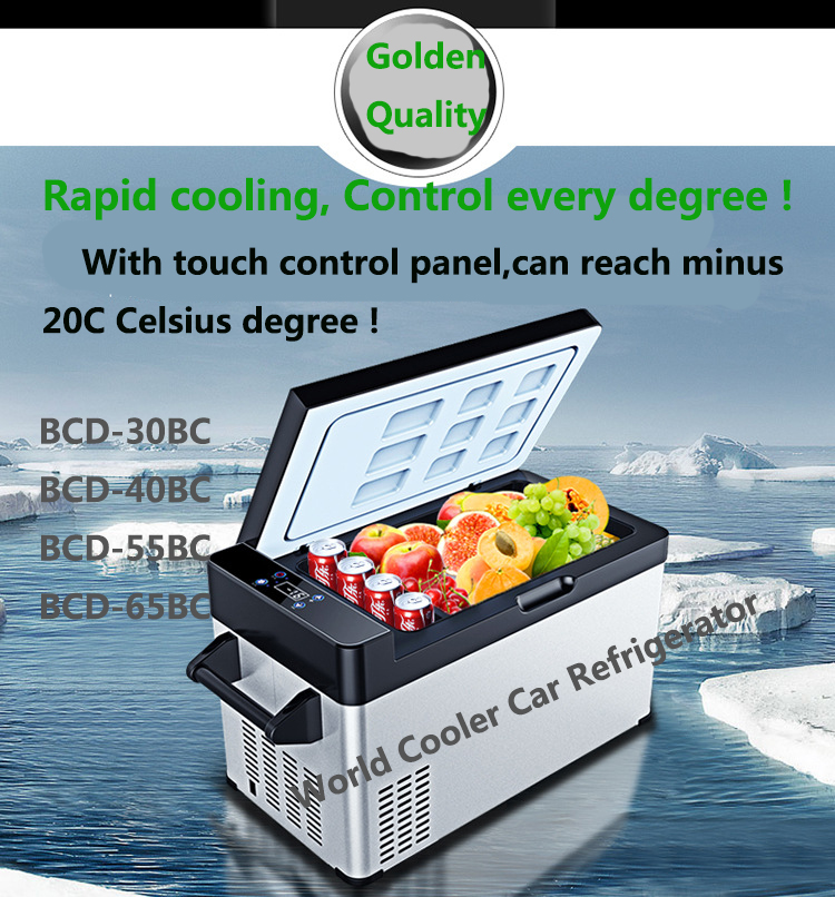 65L DC12V/24V Car Deep Freezer Portable Camping Picnic Outdoor Travel Home Use Mini Fridge Cooler Box Refrigerator