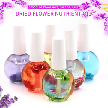 6 colors Dried Flowers Softener Nutritional Cuticle Oil Natural Fragrance Protective Oil Treatment Nail Art Care Nail Art TSLM1