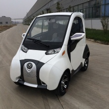 New Energy Car with Lithium Battery