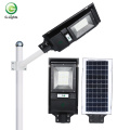 High quality Energy saving Ip65 waterproof Outdoor lamp 60w 100w street solar garden lamp