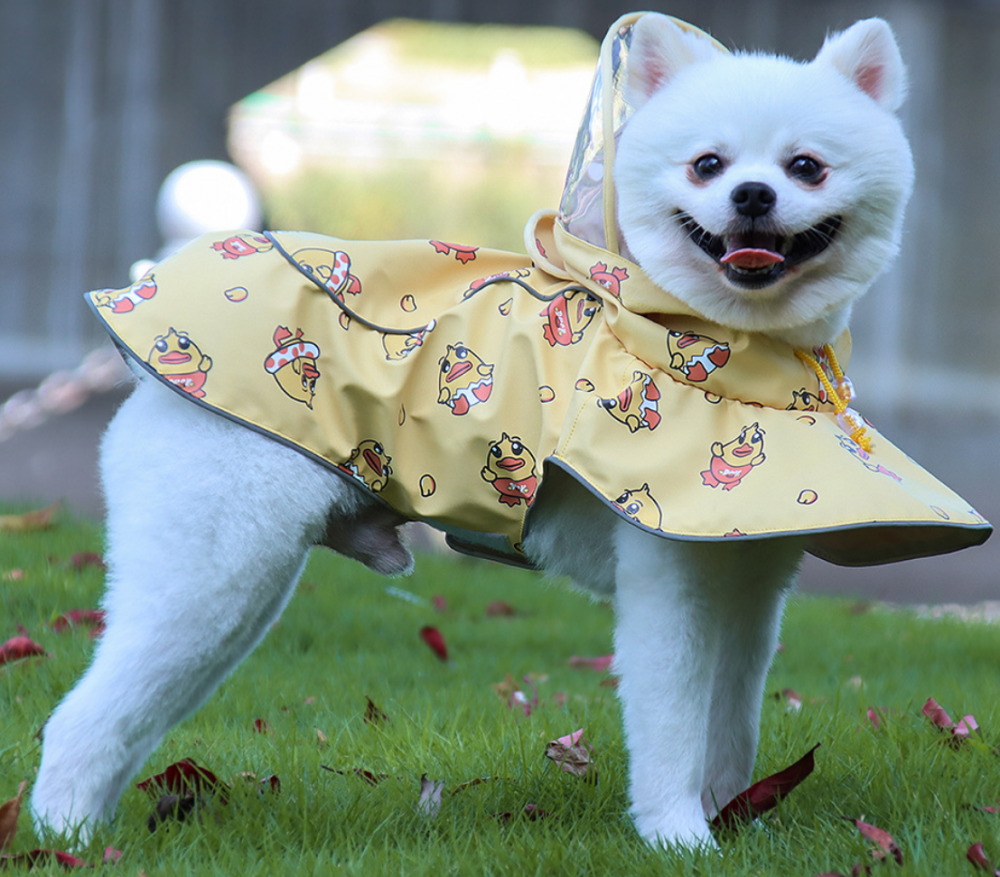 Pet Clothing