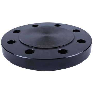 Forged Carbon Steel Pipe Flanges for Industrial Piping