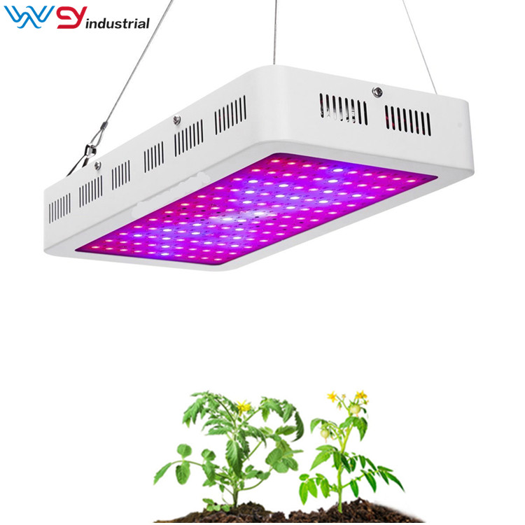 Factory Wholesale led grow lights 1500w 2000w Lamps