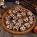 Lentinan Mushroom, Chinese Shiitake Mushroom, Xiang Gu, Hua Gu,