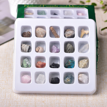 1set Natural Rock Mineral Specimen irregularity Raw Crystals Souvenir mini Mineral Stone Collection Ornament Gifts for Children