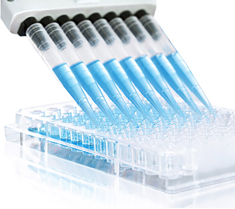 pipette tips and pipettes