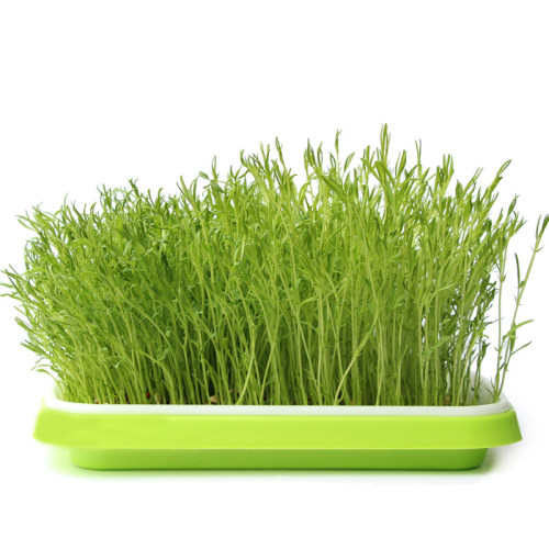 Seed Sprouter Tray Soil-free tray Manufacturers and Seed Sprouter Tray Soil-free tray Suppliers