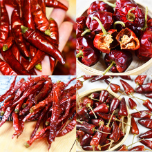 dehydrated dry red cutting circle chilli segments