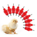 10Pcs Poultry Water Drinking Nipples Duck Chicken Hen Feeding Screw In Drinker GXMA